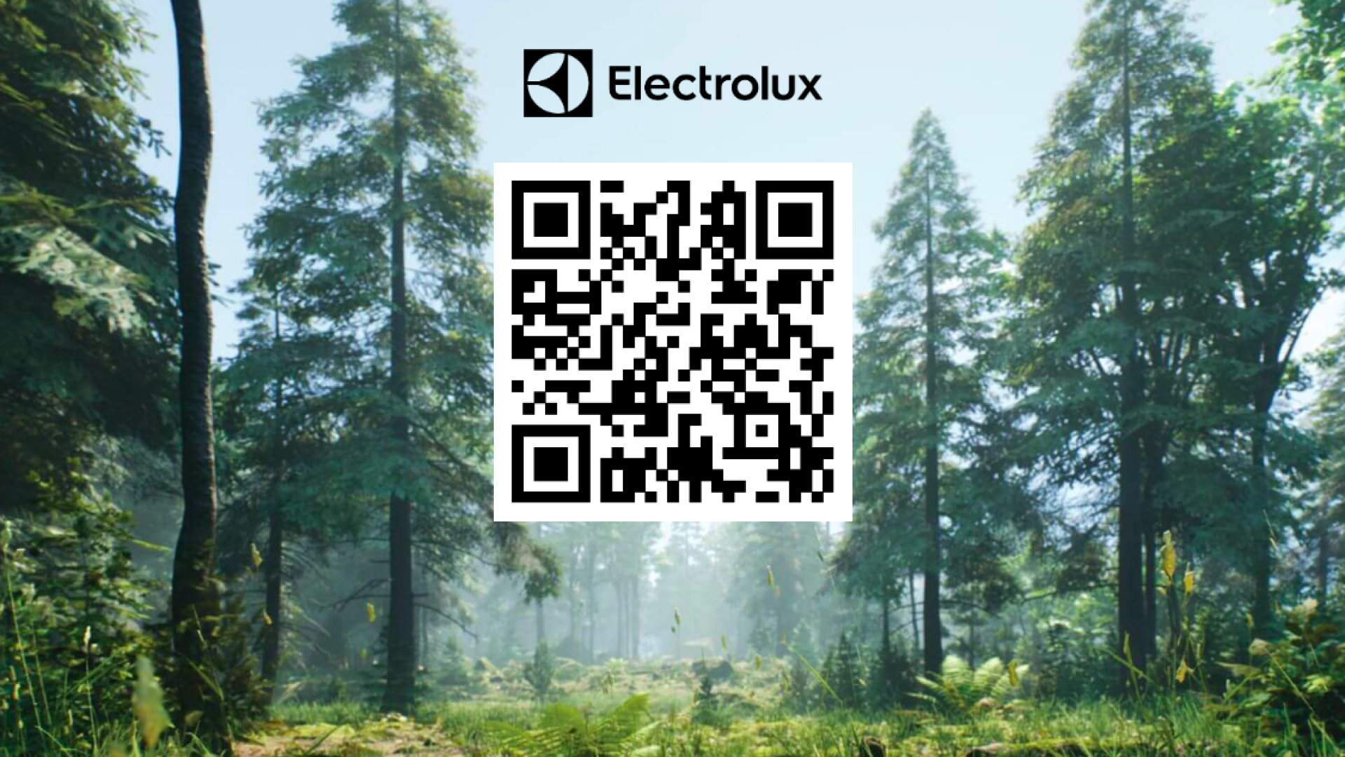 Electrolux_QR